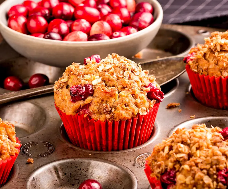 Cranberry Muffins with Sunflower & Pumpkin Seeds