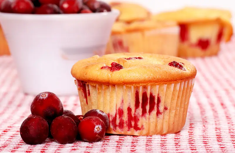 Salad Dressing Cranberry Muffins