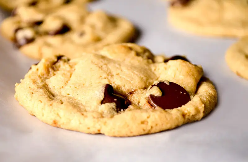 Whole Wheat Chocolate Chip Pudding Cookies