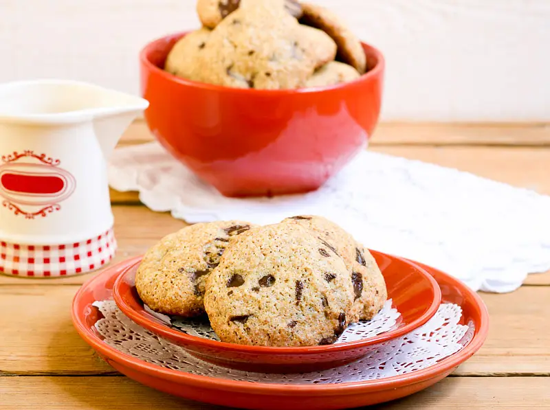 Chocolate Chip Soybean Cookies