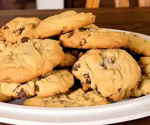 Tom's Applesauce Chocolate Chip Cookies