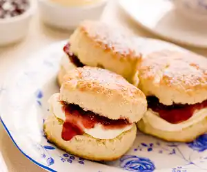 Aunt Cora's Sourdough Biscuits