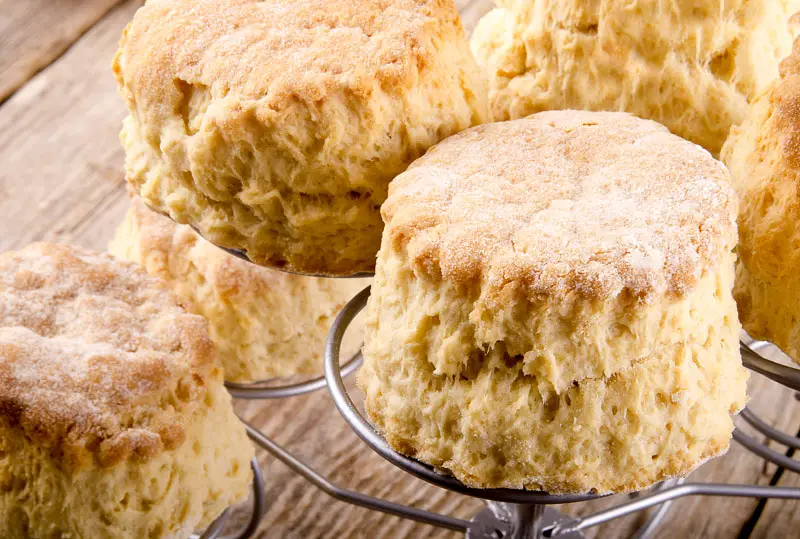 Cold Lunch Biscuits