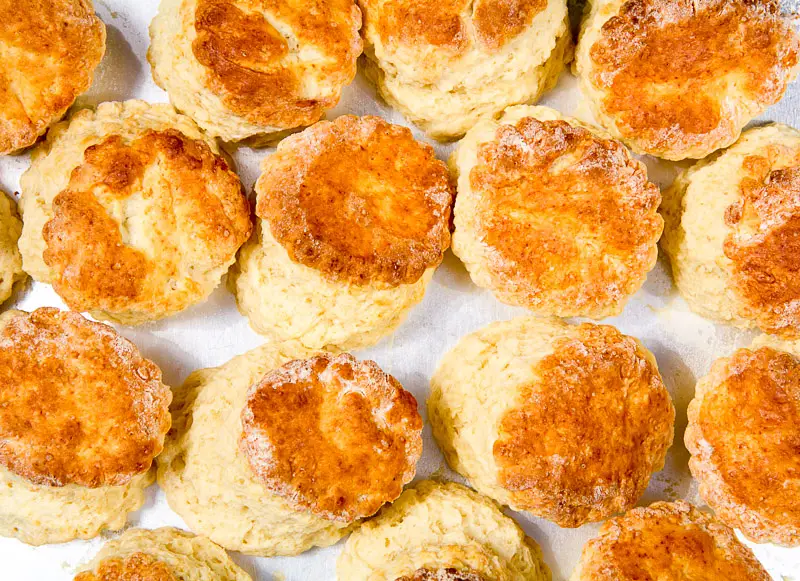 Mary Rogers's Sourdough Biscuits