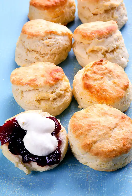 Biscuit Baking Mix Recipes (Biscuits)