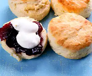 Biscuit Baking Mix Recipes (Biscuits)