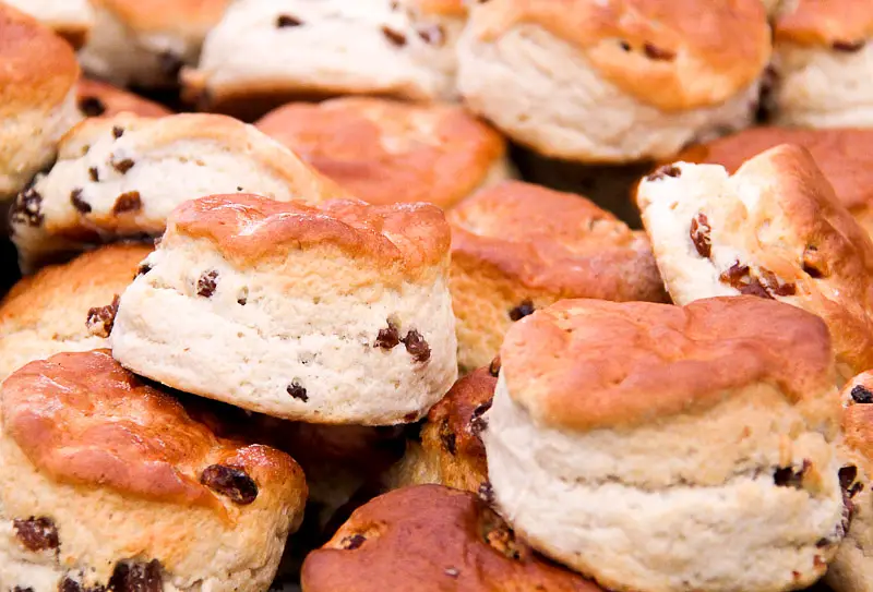 Sense & Sensibility Scones