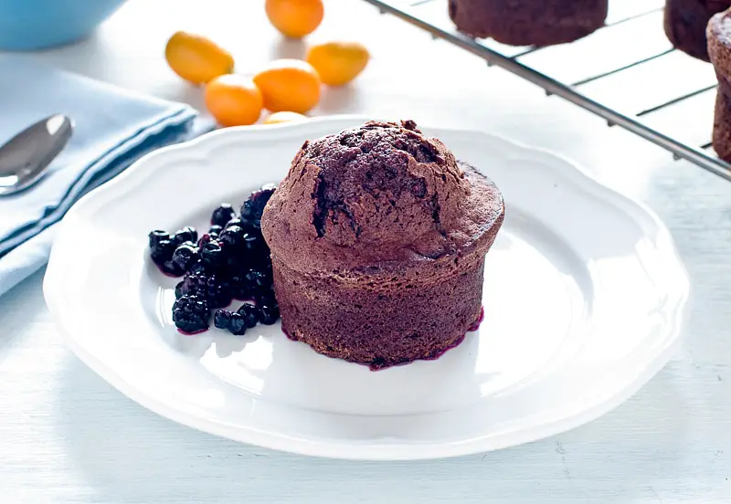 Moist Applesauce Chocolate  Muffins