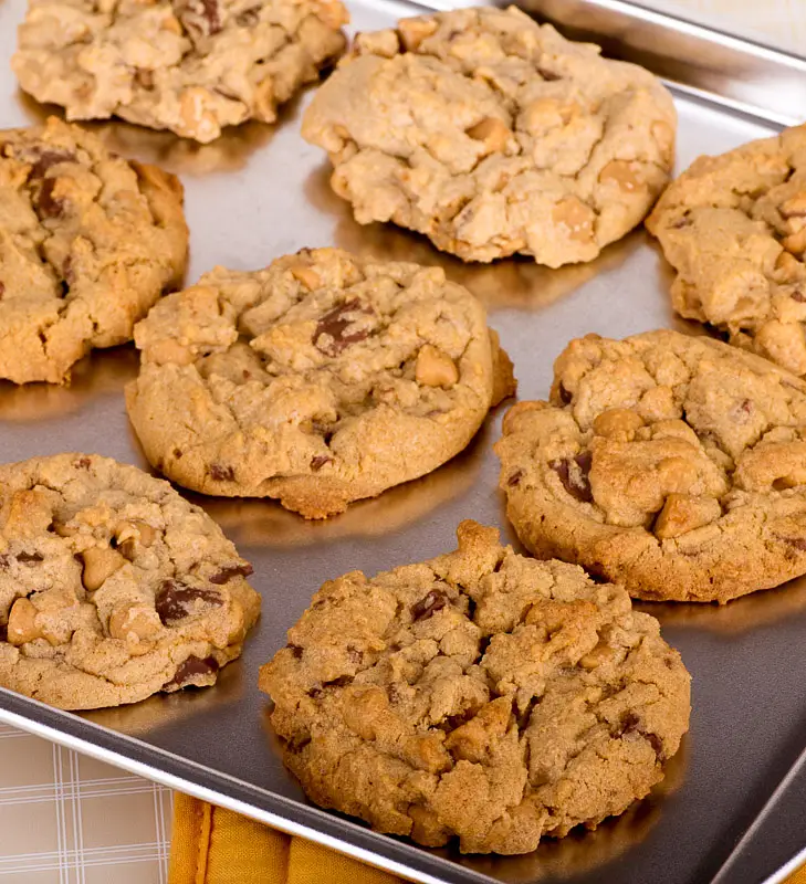 Double Chip Cookies