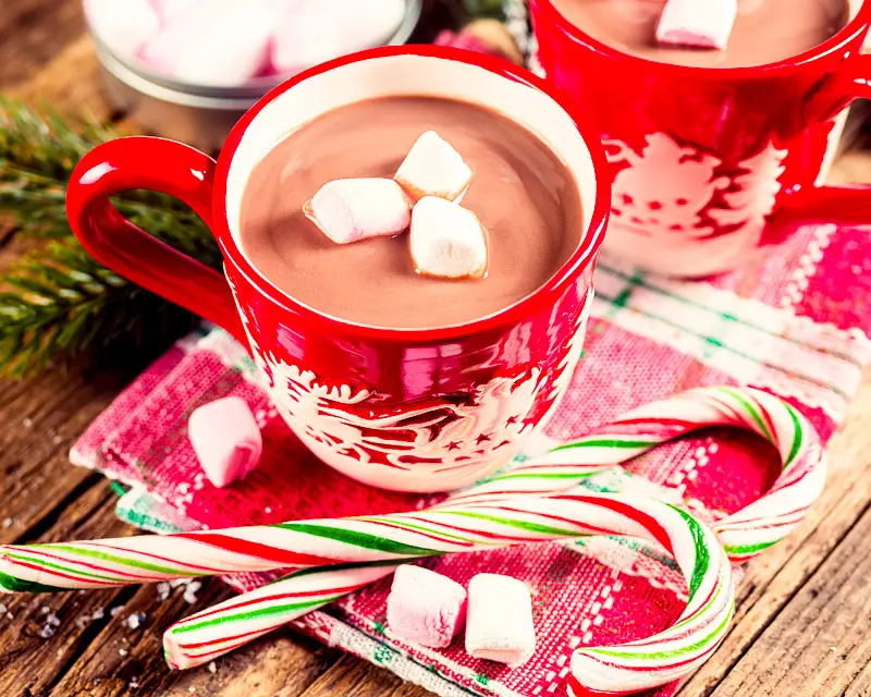 Nonfat Holiday Hot Chocolate