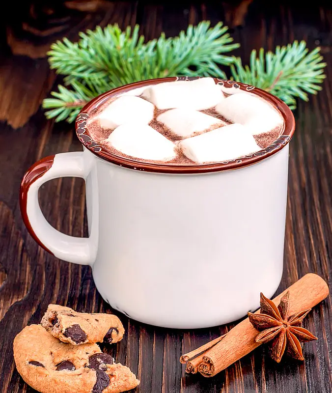 Hot Chocolate Milk