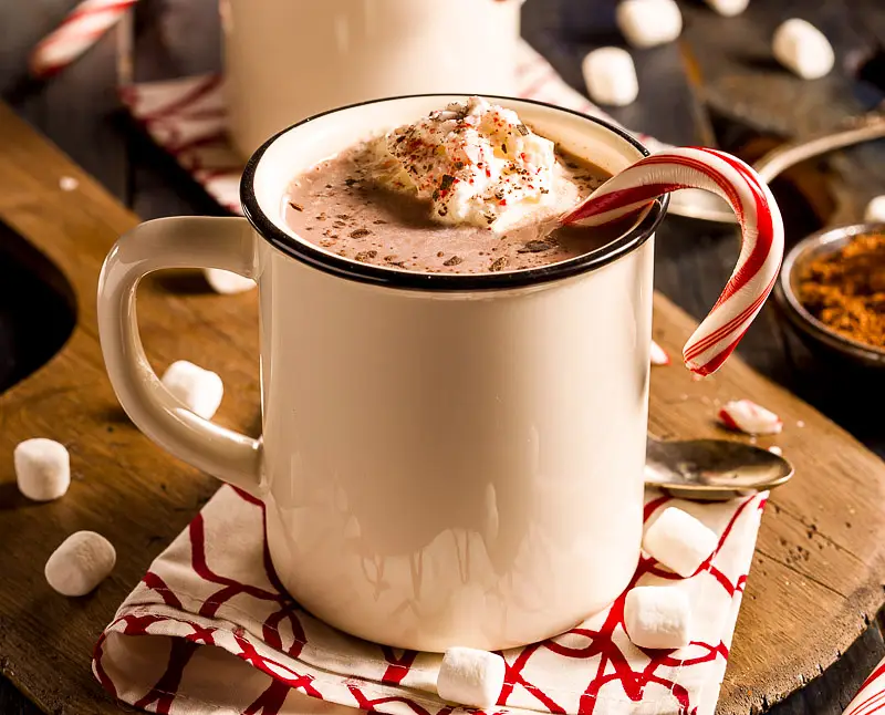 Hot Mocha Milk