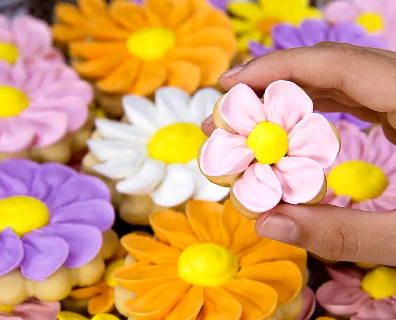 Flower Sugar Cookies