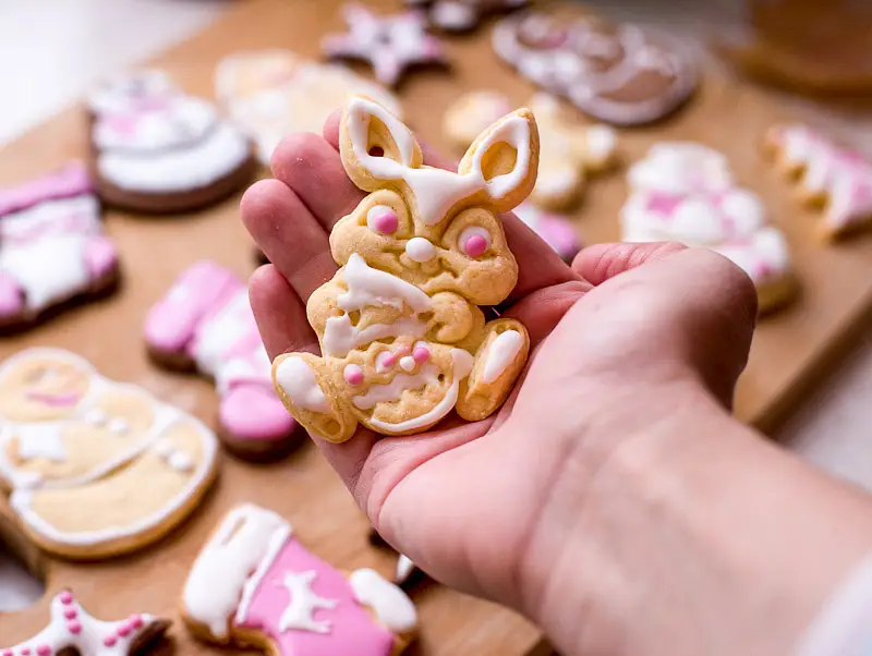 Easy Yummy Sugar Cookies