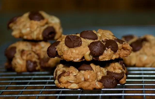 Low Fat & Low Calorie Oatmeal Chocolate Chip Cookies