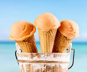 Cantaloupe Ice Cream