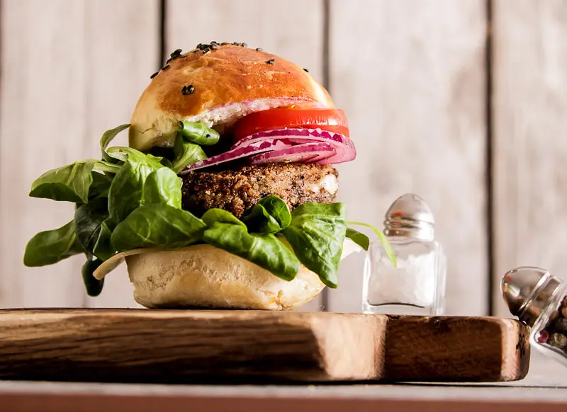 Soy Sauce Veggie Oat Burgers