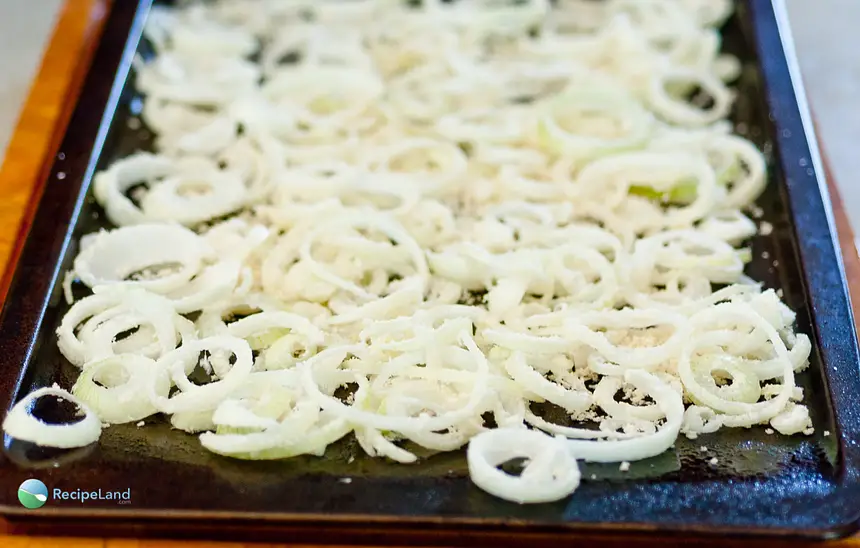 French Fried Onions - Oven Baked