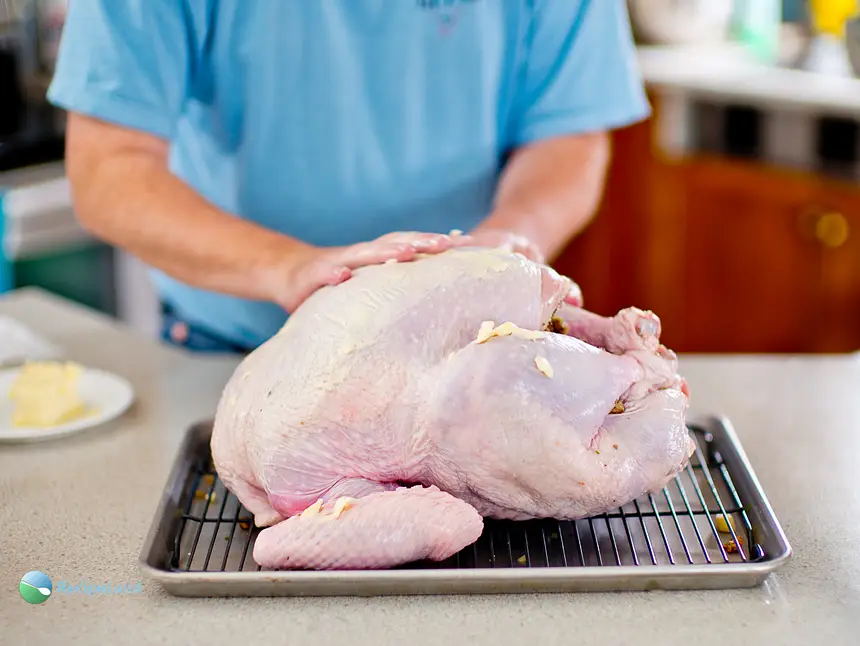 Spread butter over the turkey skin