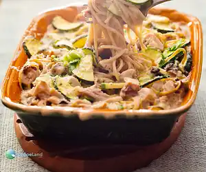 Campbell's Turkey Tetrazzini