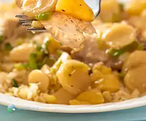 Crock pot Chicken Kowloon