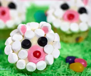 Easter Lamb Face Cupcakes