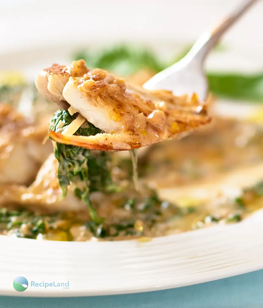 Close-up of pan fried red snapper filets served with a quick creamy basil cream sauce. Quick, easy and super tasty.