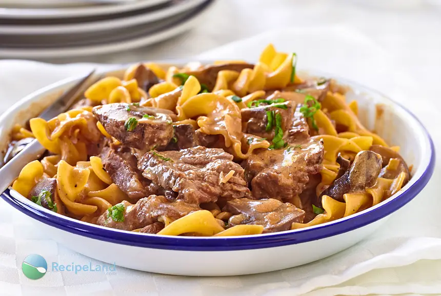 Tender beef steak strips, mushrooms with egg noodles in a tangy sauce.
