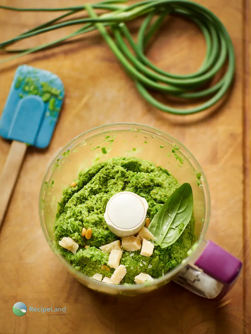 Garlic scape pesto mid-preparation; in the <a href="/how-to/ballistic-about-bowls" title="Ballistic About Bowls">bowl</a> of a food processor showing pinenuts, parmesan cheese, basil leaf with a spatula for scraping sides and whole garlic scapes in the background on a wood cutting board.