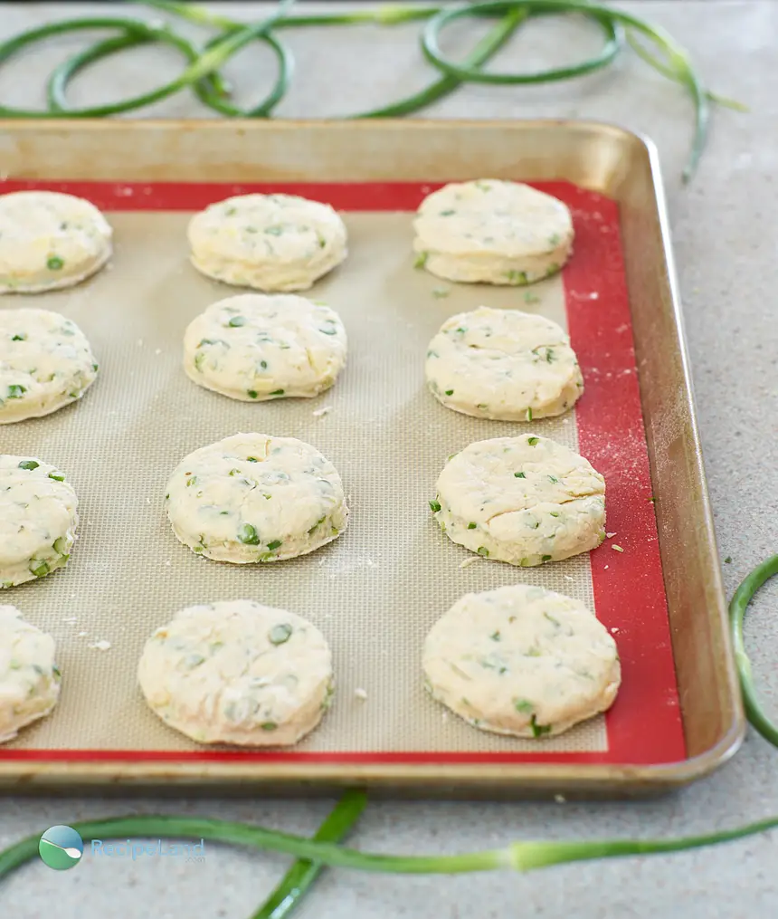 Garlic scape biscuits, cut and ready to pop into the oven