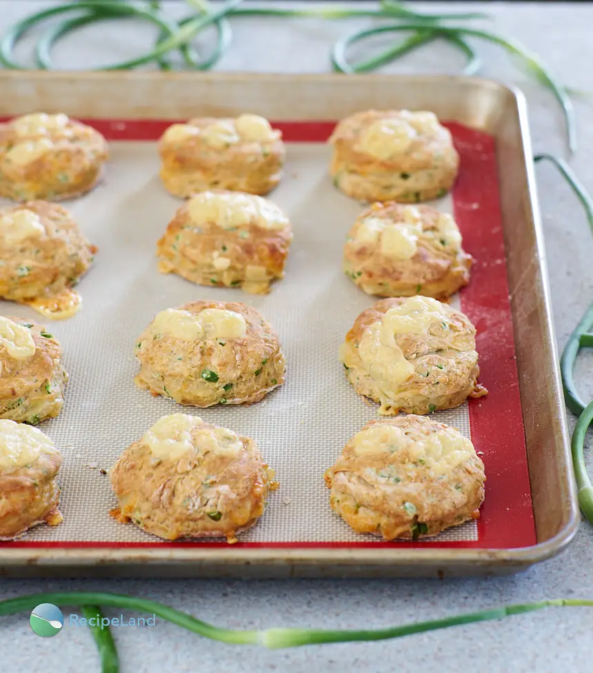 Garlic scape bicuits fresh from the oven, golden brown with melted swiss cheese.