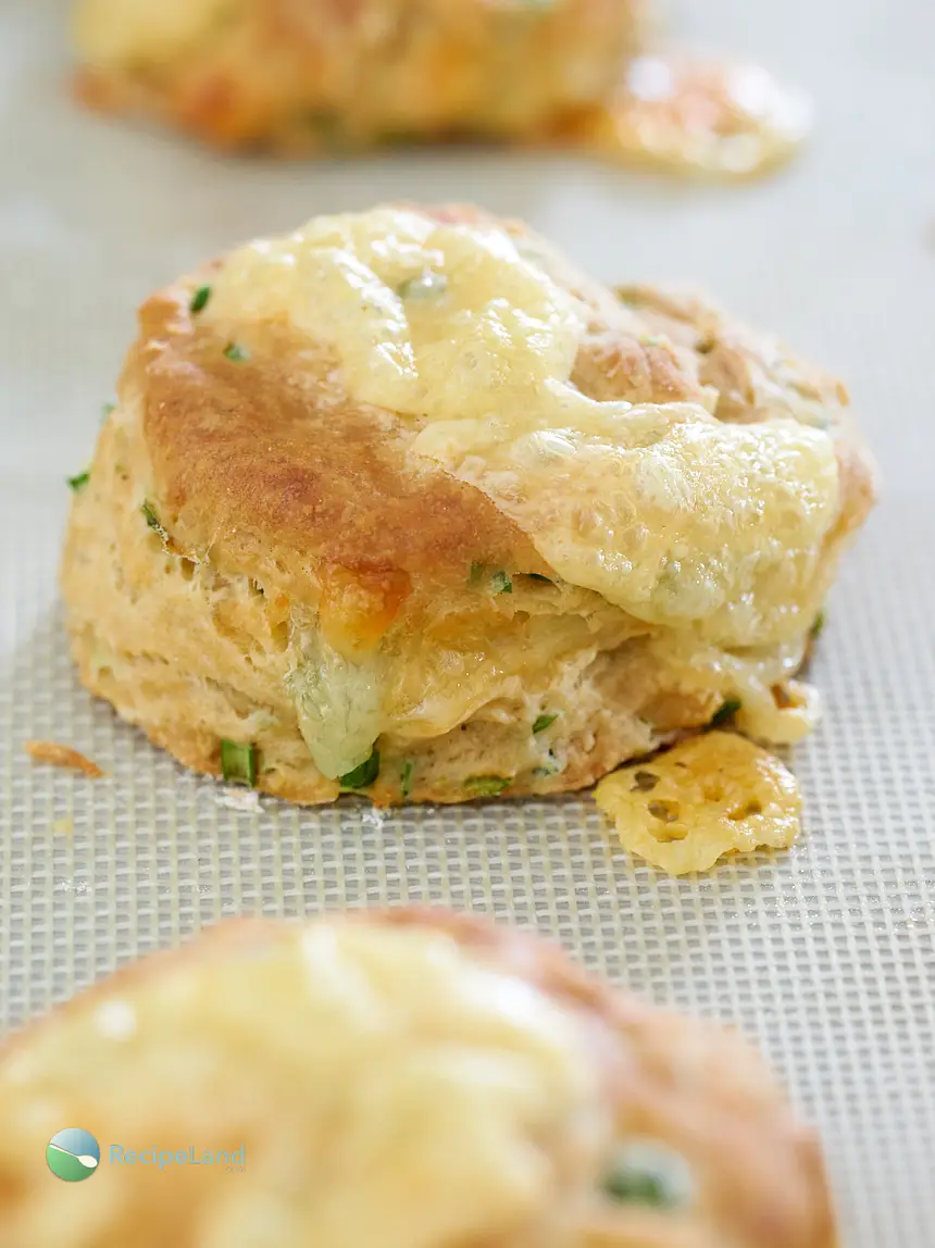 Turn garlic scapes into fluffy, cheesy buttermilk biscuits. The garlic scapes add a fresh mild hint of garlic to the savory biscuits which is perfectly complimentary.