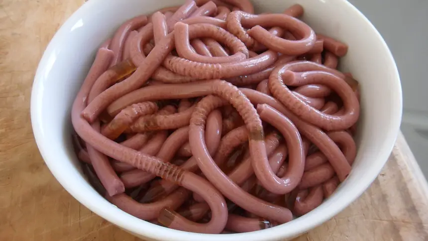 Ice Worms