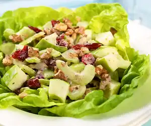 Apple, Celery & Cranberry Salad with Creamy Lemon Vinaigrette