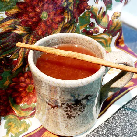 Spiced Cider with Cranberries (crockpot)
