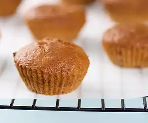 Cranberry Orange Muffins