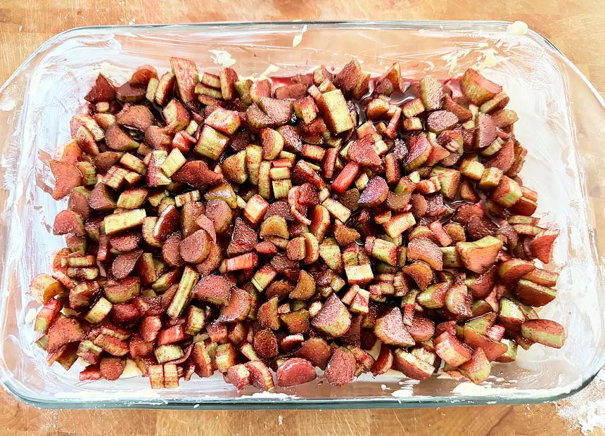 Jello Any-Fruit Cake