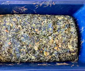Salmon-Spinach Loaf