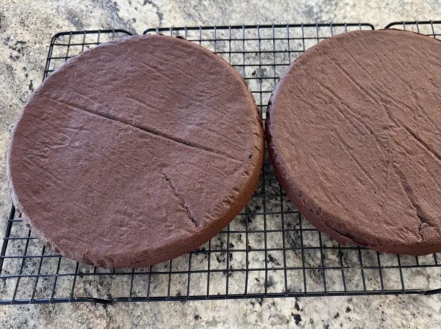 Cocoa Layer Cake