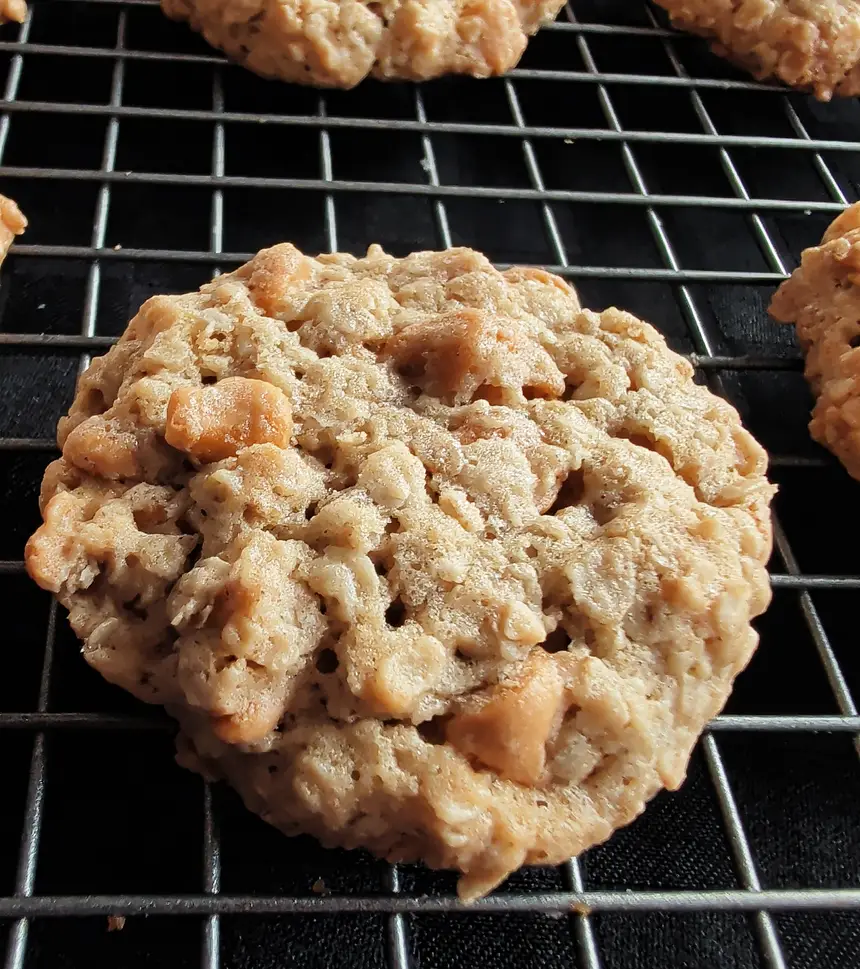 Oatmeal Scotches