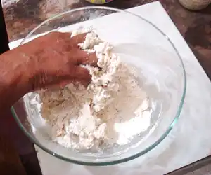 Homemade Pizza Dough