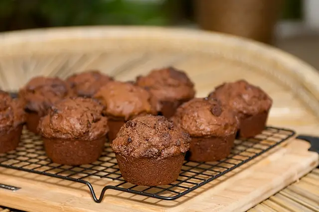 Chocolate & Sour Cream Cupcakes