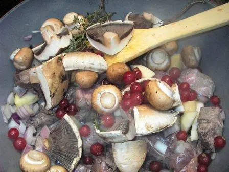 Venison & Redcurrant Casserole