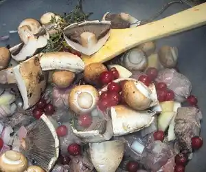 Venison & Redcurrant Casserole