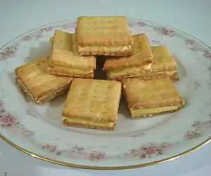 Homemade Sandwich Crackers