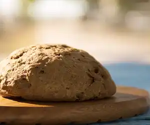 No Knead Italian Whole Wheat Bread