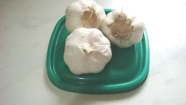 Homemade Garlic Powder