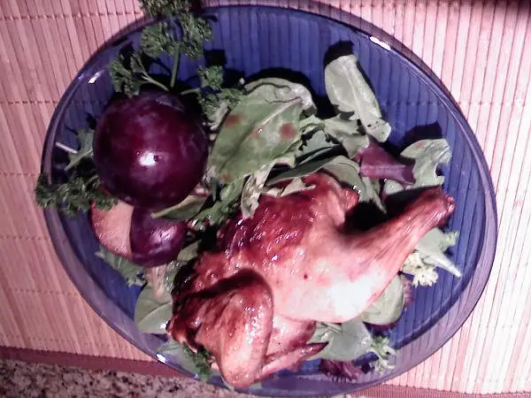 Cornish Hens & Plums on Baby Spinach