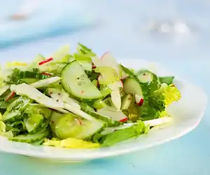 Celery, Cucumber, Fennel & Radish Salad with Vinaigrette
