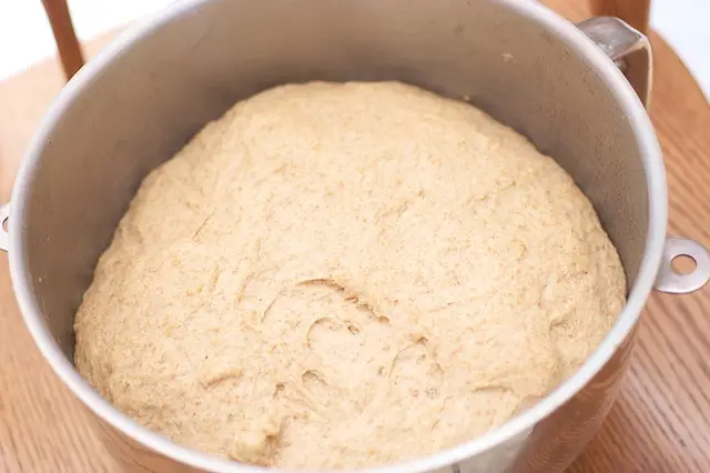 Place in an oiled bowl; turning once to coat top of dough. Cover; let rise until double in bulk (about 45 minutes).